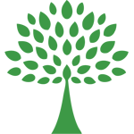 Foods That Boost Your Immune System