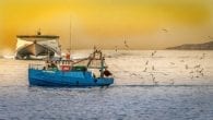 Fishing boat sunset