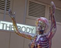 Listen to your body