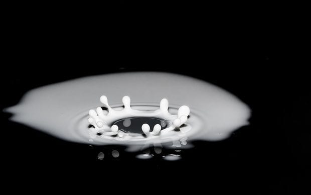 Milk droplet