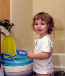 Tools” that you will need include in toddler toilet training: