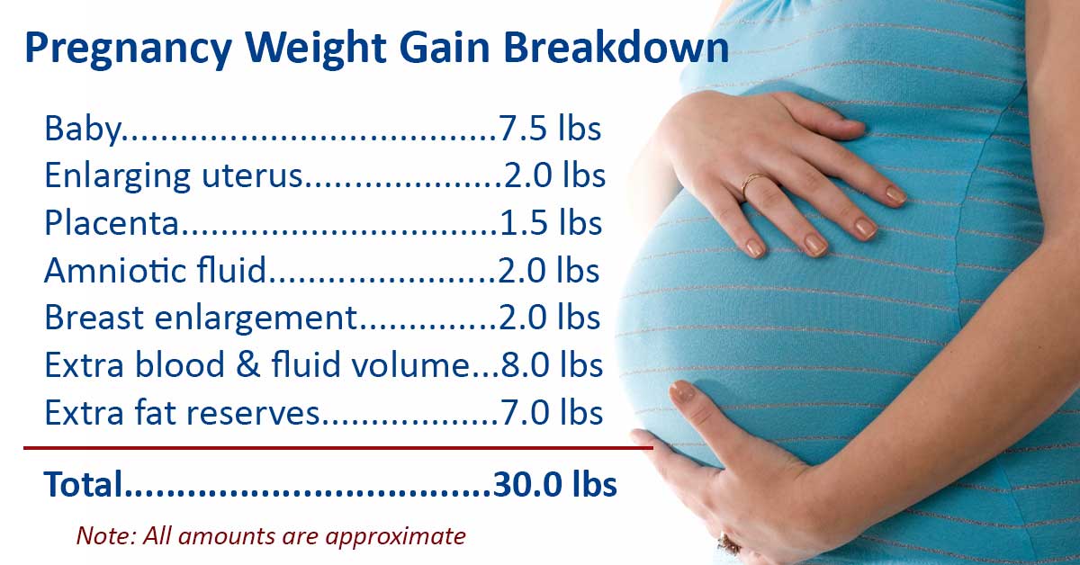 Weight Gain By Trimester Chart