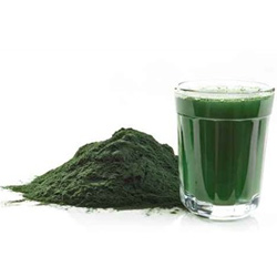 Spirulina