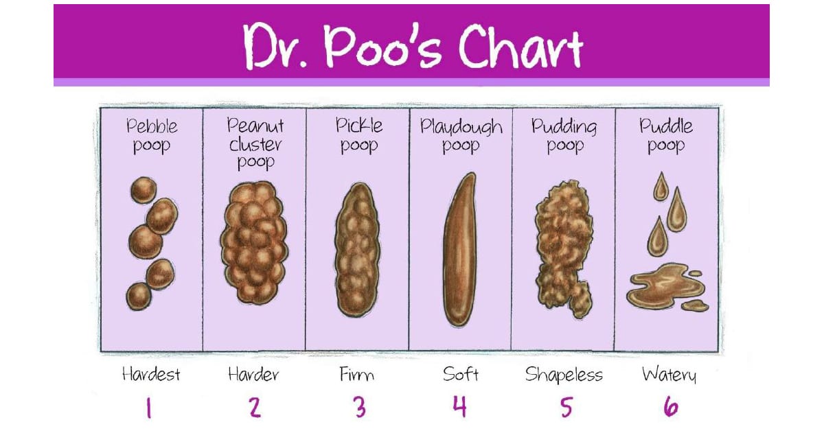The Scoop on Comfortable Poop by Dr Poo | Ask Dr Sears