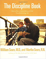 The Discipline Book