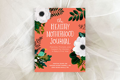 promotion for The Healthy Motherhood Journal